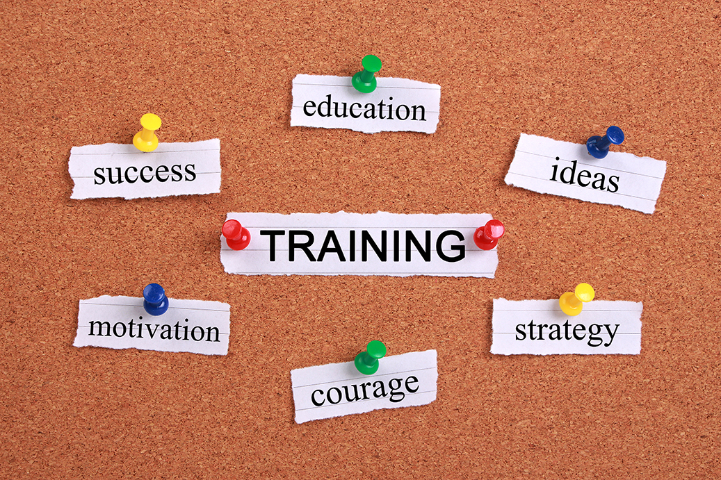 The Vital Role of Training and Competency in Medical Device Companies